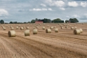 Schleswig Holstein Ostsee 09_2015 KA7_3665 als Smartobjekt-1 Kopie